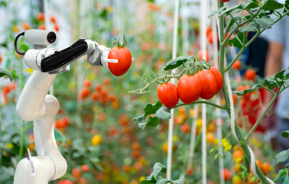 agro based industry