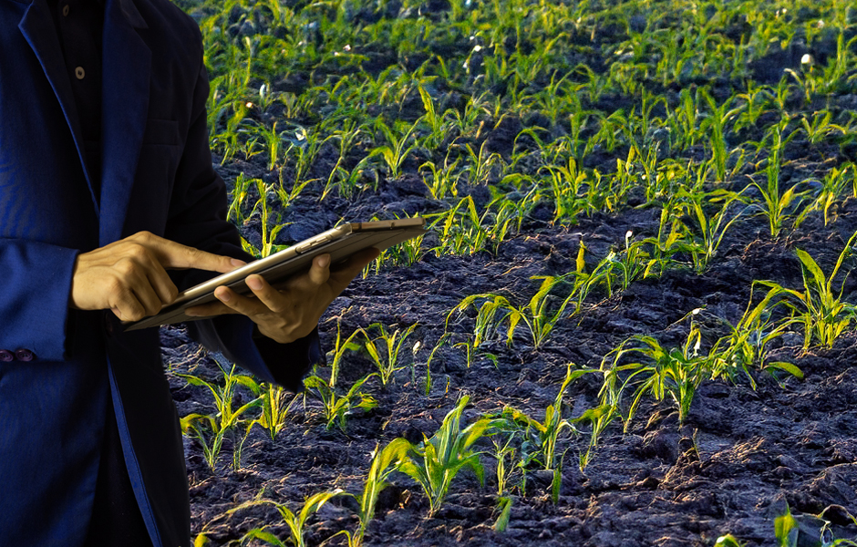 catering to remote learners